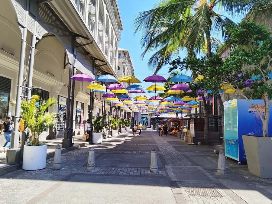 Mauritius: Full Day Tour of the North with Hotel Transfer - Why this private northern tour works well