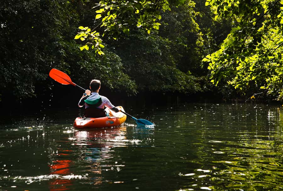 Mauritius: Guided Kayak Tour on Tamarin River - Key points at a glance