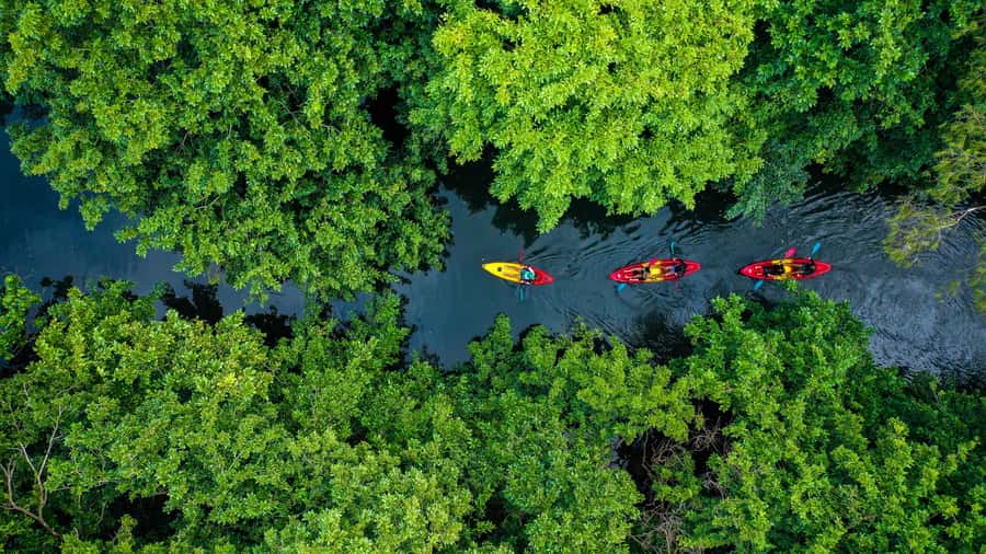 Mauritius: Guided Kayak Tour on Tamarin River - Starting at Tamarin Bay beside the ocean