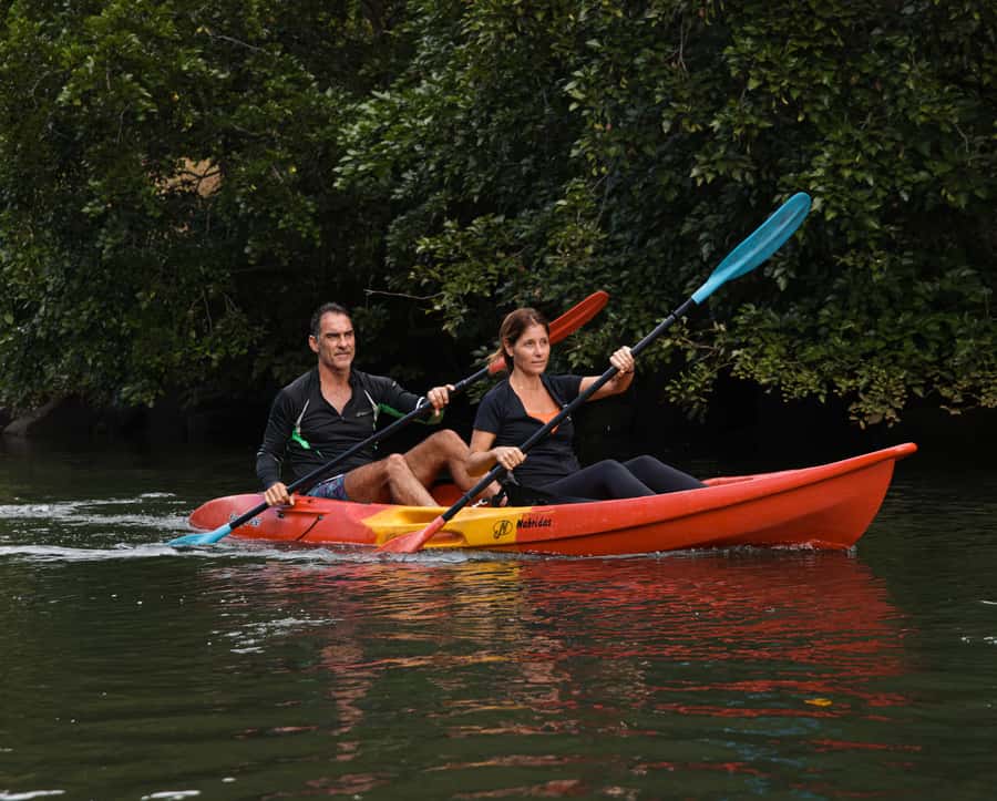 Mauritius: Guided Kayak Tour on Tamarin River - Following the river’s two arms through mangroves