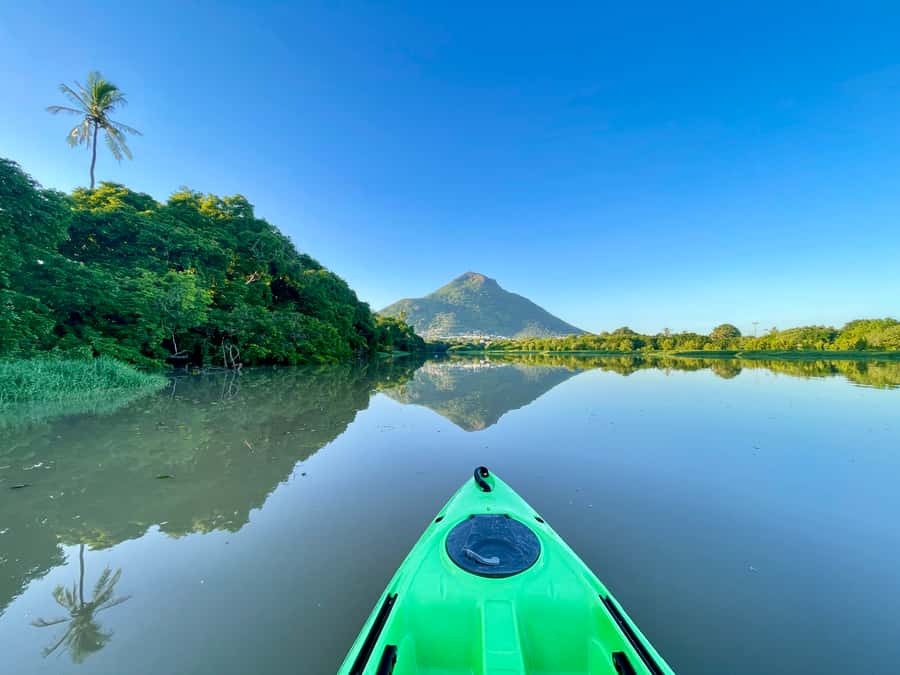 Mauritius: Guided Kayak Tour on Tamarin River - Watching for monkeys, birds, crabs, and river life