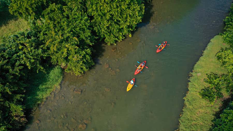 Mauritius: Guided Kayak Tour on Tamarin River - What the guide adds to the experience