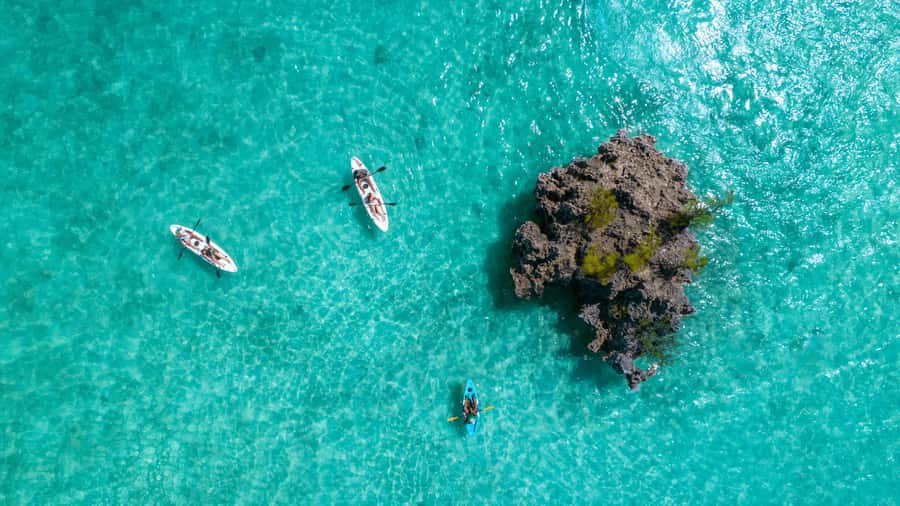 Mauritius: Guided Kayak tour to Benitiers Island - Île aux Bénitiers and the access question