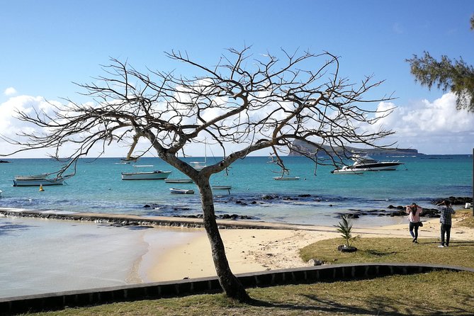 Mauritius Guided North Tour (Private) - L’Aventure du Sucre and the island’s sugar story