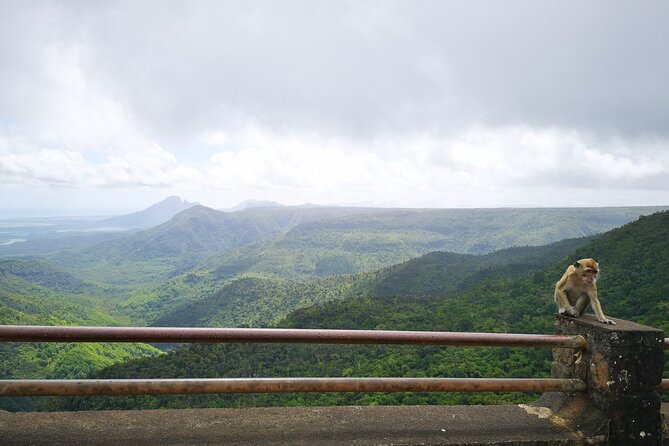 Mauritius Guided South Tour (Private) - Black River Gorges gives the day its widest views