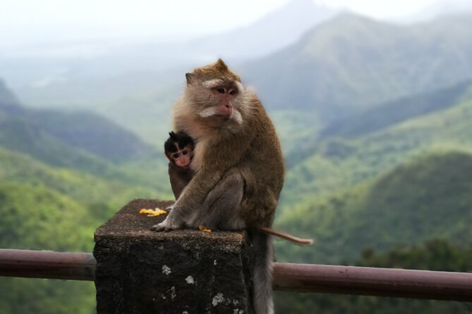 Mauritius Guided South tour (Private) - Trou aux Cerfs, an extinct volcano above Curepipe