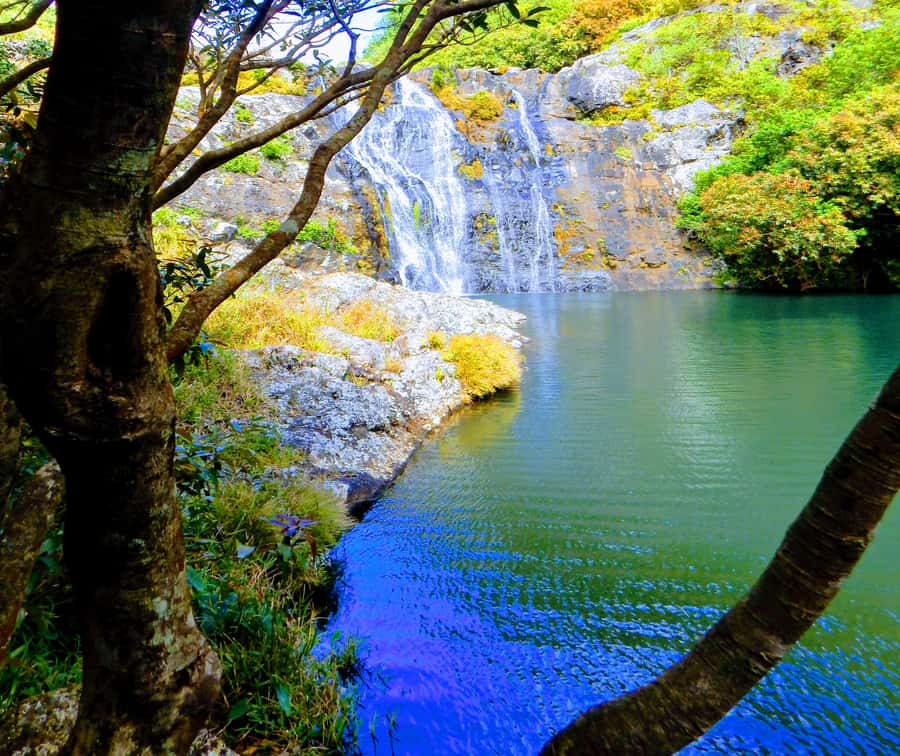Mauritius: Guided Tamarind Falls Hike with Hotel Transfers - Key points at a glance