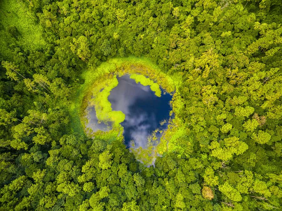 Mauritius: Guided Trip to the Southwest with Safari Tour - One Day, Two Very Different Mauritiuses