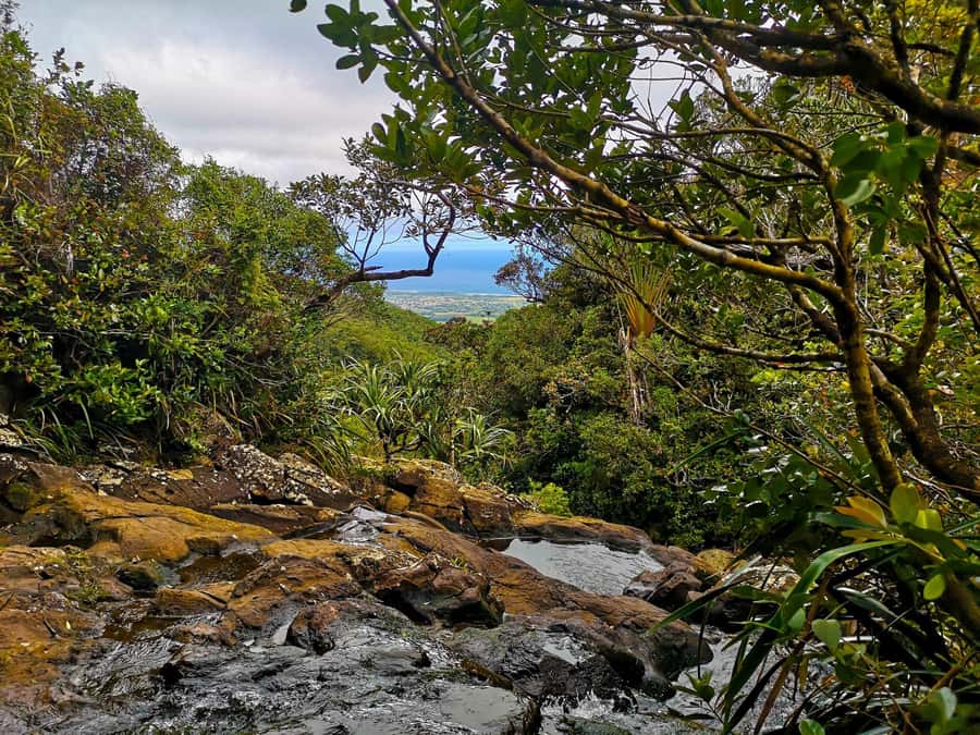 Mauritius: Guided Trip to the Southwest with Safari Tour - Maconde Viewpoint: Ocean on Both Sides