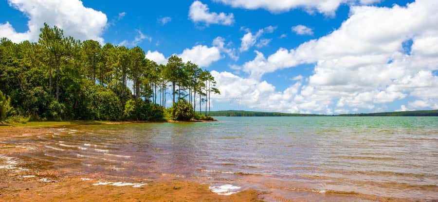 Mauritius: Guided Trip to the Southwest with Safari Tour - The 800-Meter Tulawaka Gold Coaster