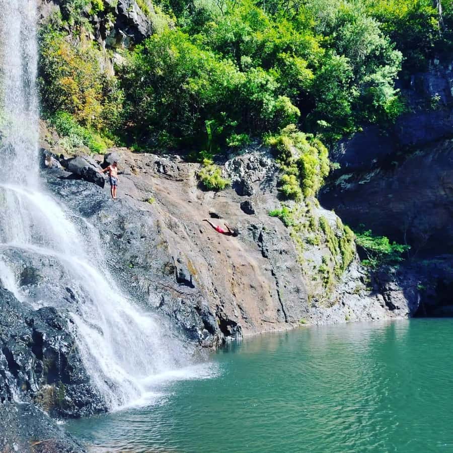 Mauritius Hiking 7 waterfalls Trip with Ganga Talao & Lunch - What the feedback tells me about the experience