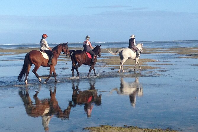 Mauritius Horse Riding at Riambel - The Important Difference Between Beach and Sea Riding
