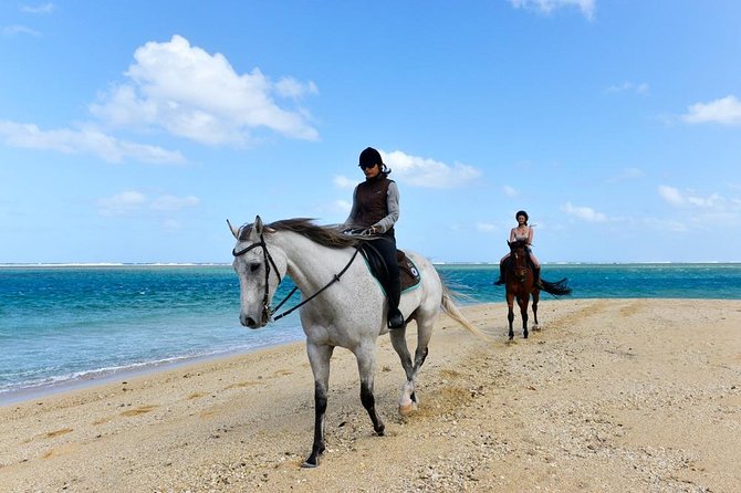 Mauritius Horse Riding at Riambel - What Happens Before You Mount