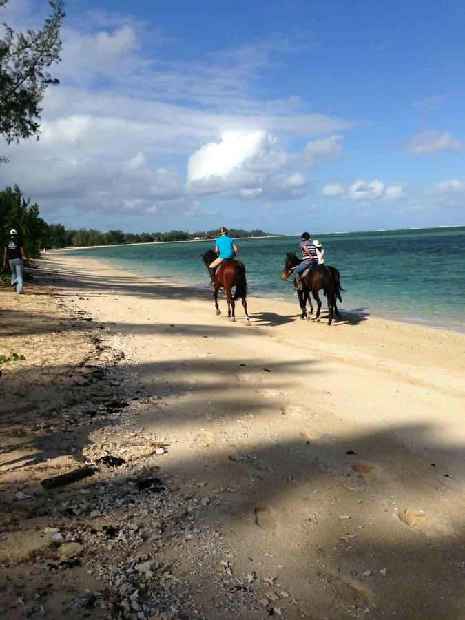 Mauritius: Horse riding on the deserted beach of Riambel - Choosing a rescued horse suited to your level