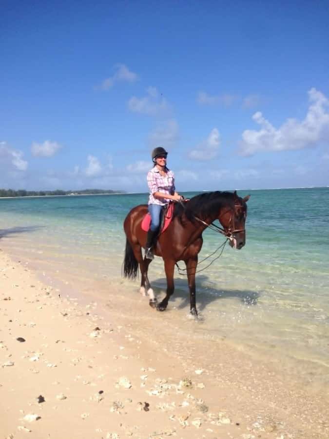 Mauritius: Horse riding on the deserted beach of Riambel - The care behind the Centre Equestre de Riambel