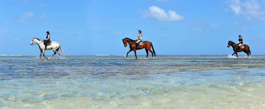 Mauritius: Horse riding on the deserted beach of Riambel - Is $117 good value for one hour?