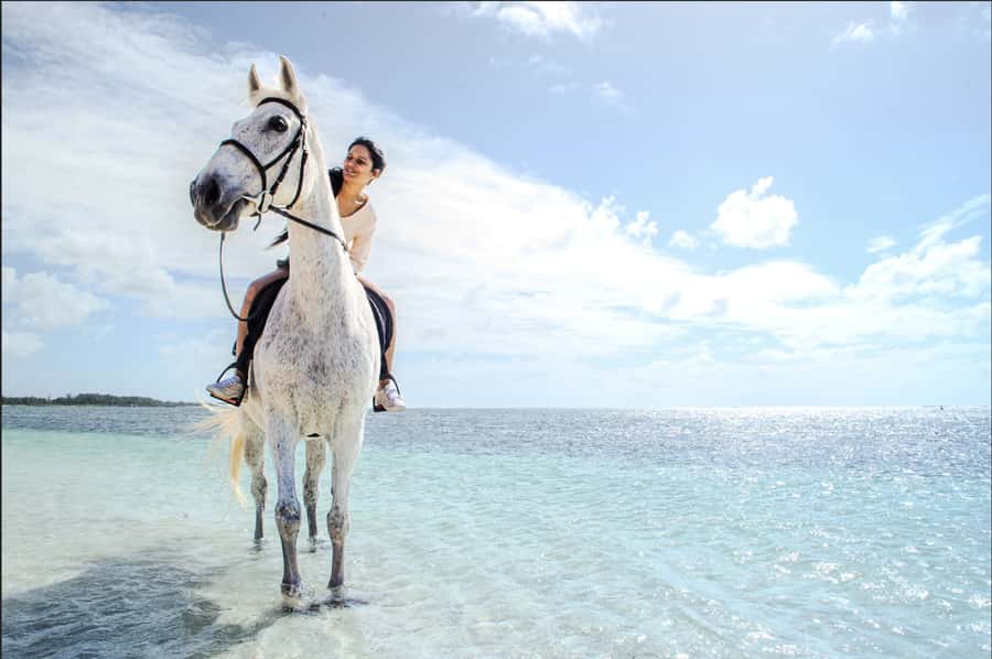 Mauritius: Horseback riding on the beach - Mounting Up for a One-Hour Beach Ride