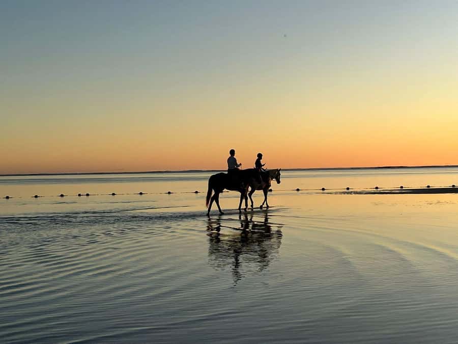 Mauritius: Horseback riding on the beach - What the Horses and Guides Add to the Experience