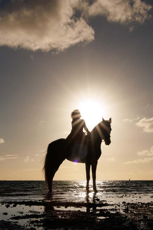 Mauritius: Horseback riding on the beach - Why the Small Group Size Matters