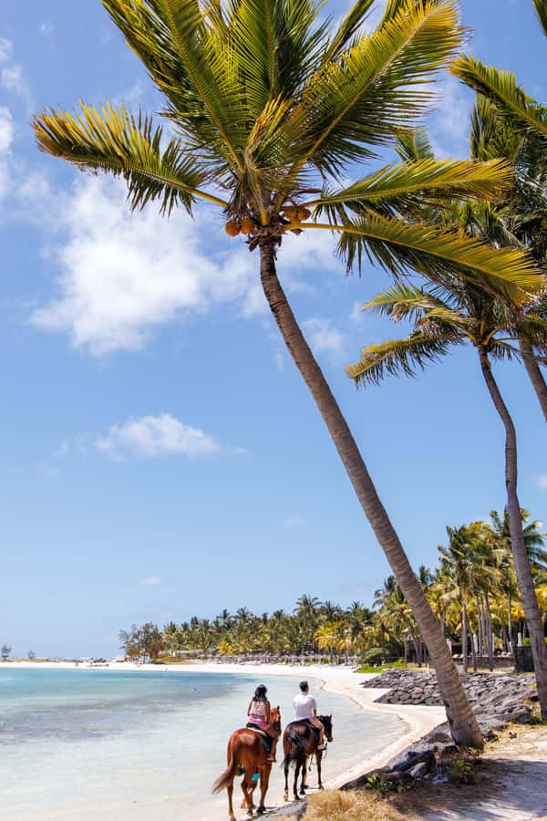 Mauritius: Horseback riding on the beach - The Real Value of the $110 Price