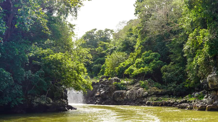 Mauritius: Ile aux Cerfs Boat Tour with BBQ Lunch and Drinks - Who will enjoy this day most