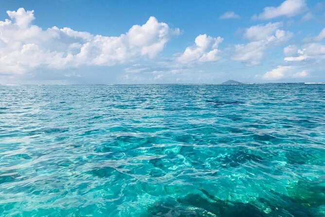 Mauritius: Ile Aux Cerfs Catamaran Tour with Lunch and Drinks - Key points to know before booking