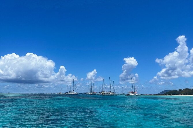 Mauritius: Ile Aux Cerfs Catamaran Tour with Lunch and Drinks - Optional activities and what to clarify