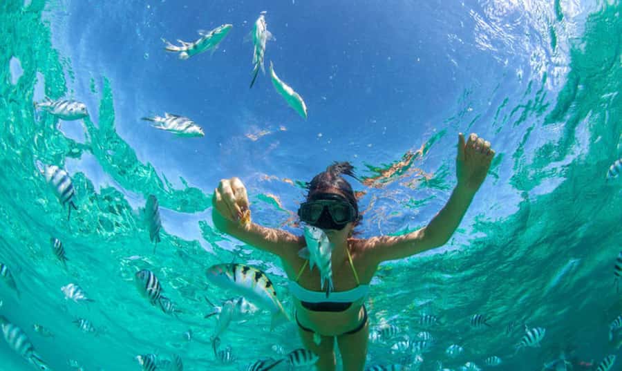 Mauritius: Ile Aux Cerfs Catamaran Trip w/ Lunch & Transfer - Should you book the Ile aux Cerfs catamaran trip?