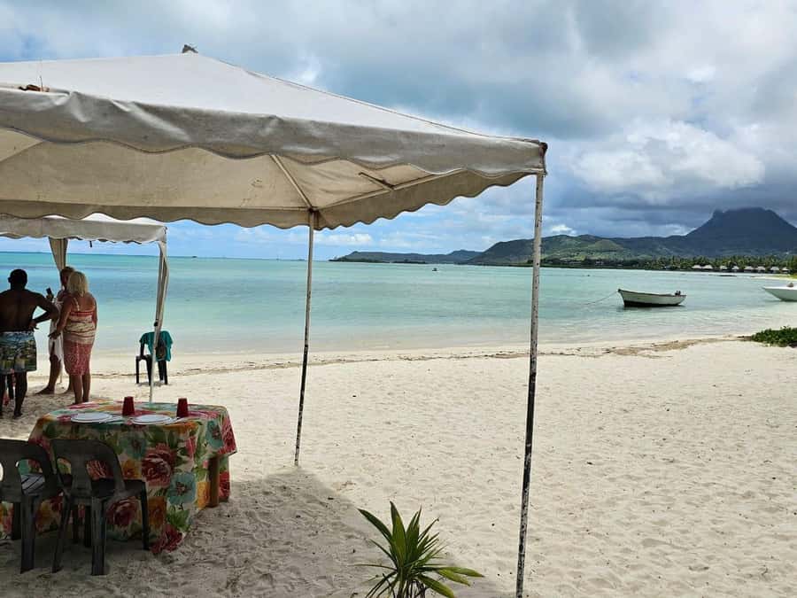 Mauritius: Ile aux cerfs, waterfalls and bbq Boat Day - GRSE waterfall and its monkey stop