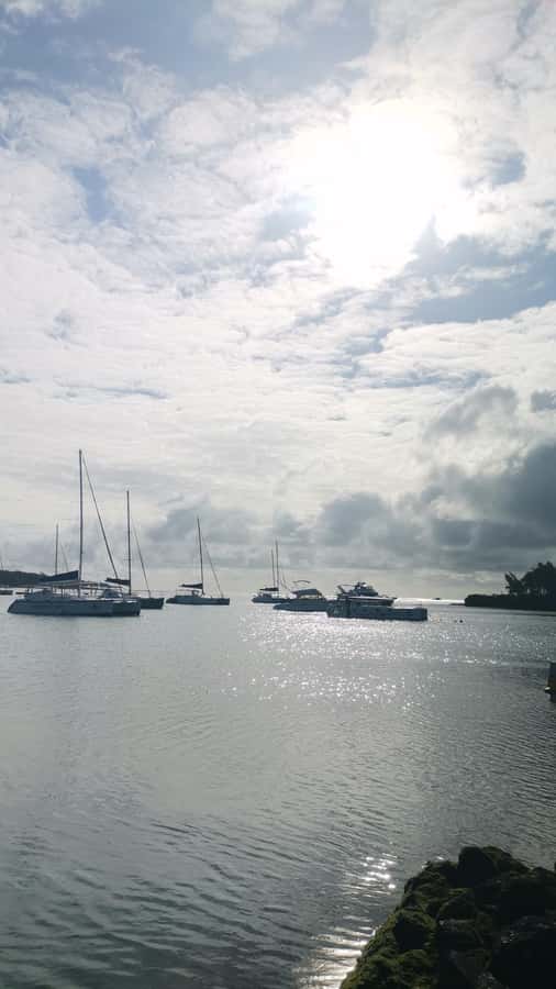 Mauritius: Ile aux cerfs, waterfalls and bbq Boat Day - Free time on Ile aux Cerfs until 12:30