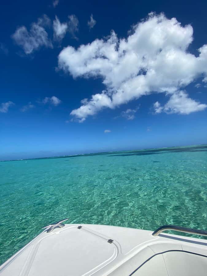 Mauritius Le Morne: Eco-Friendly Dolphin Watching Tour - Key points to know before booking