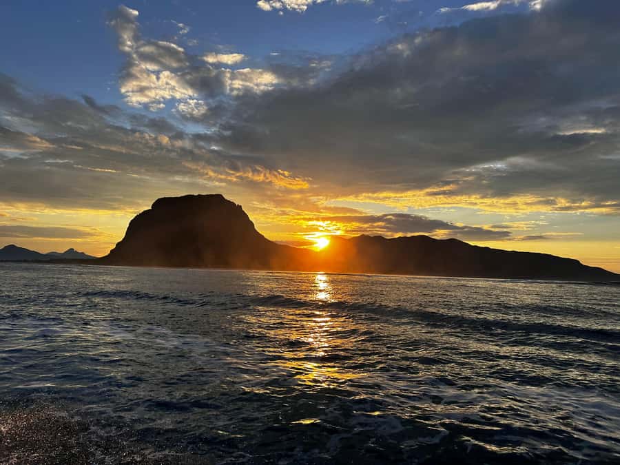 Mauritius Le Morne: Eco-Friendly Dolphin Watching Tour - Getting in the water with fins and a mask