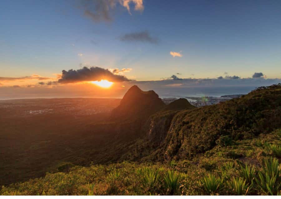 Mauritius: Le Pouce Guided Hiking Experience with a local - A small group with room to breathe