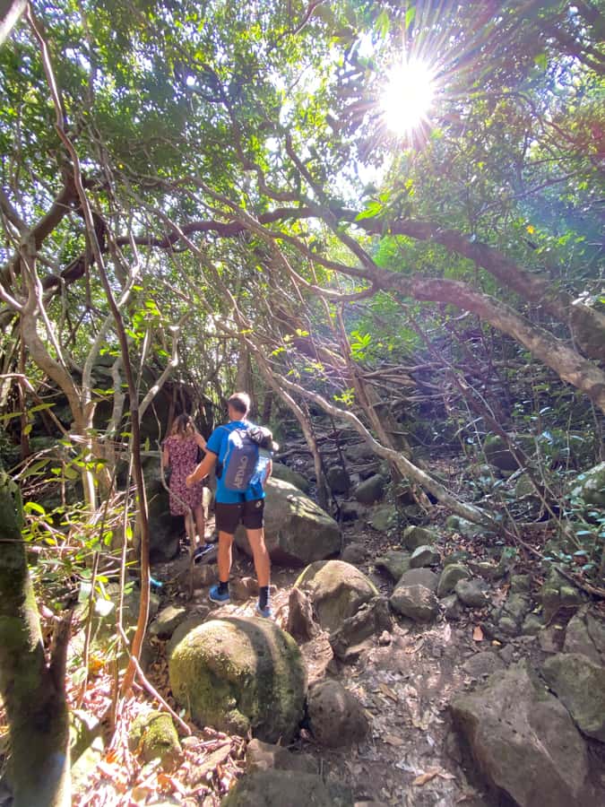 Mauritius Natirel : 7 cascades valley waterfall discovery - Local fruit and Creole food make it more than a hike