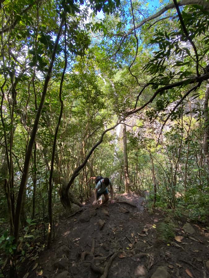 Mauritius Natirel : 7 cascades valley waterfall discovery - Booking details worth checking