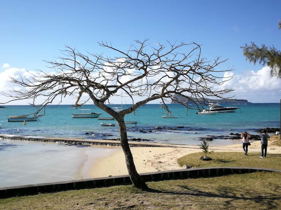 Mauritius North: Private Paradise Tour with Gardens, Markets - Weather, comfort, and who should book
