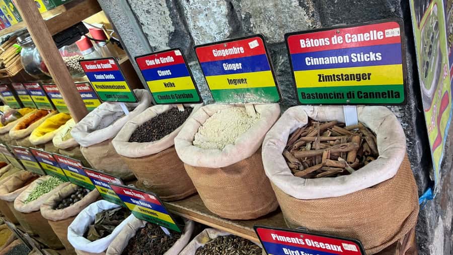 Mauritius: Northern Tour w/Port Louis Market, Temple & Beach - Port Louis market and the view from Fort Adelaide