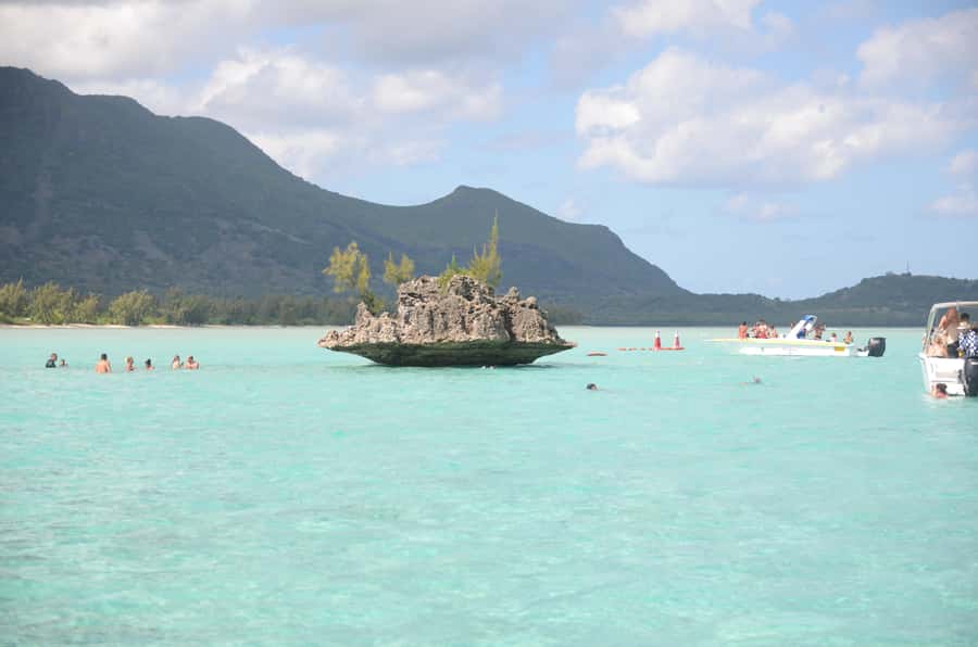 Mauritius: Ocean Swim with Dolphins - A fast start near Martello Tower Museum