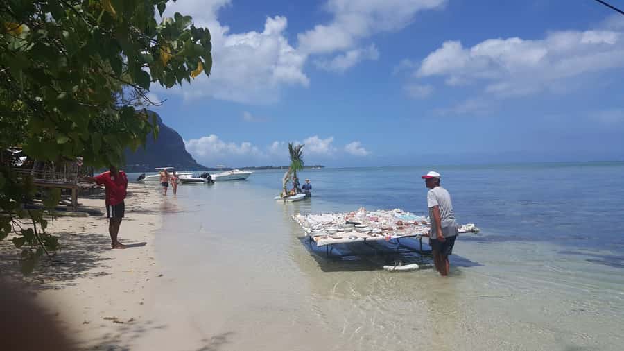 Mauritius: Ocean Swim with Dolphins - What the $93 price really includes