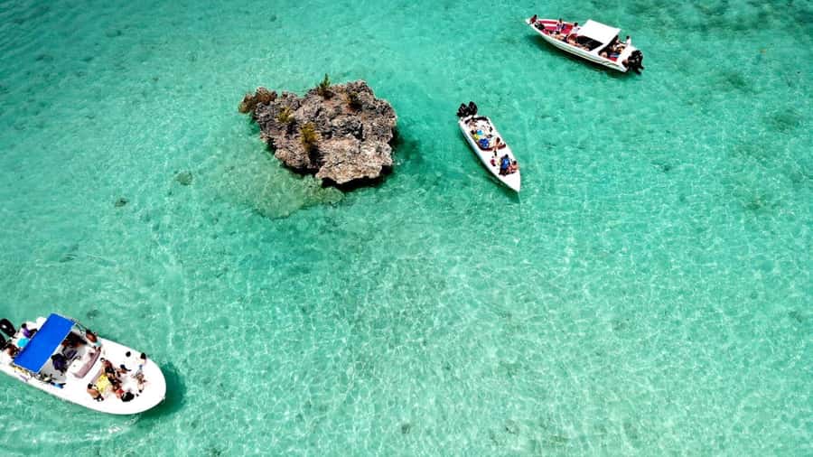 Mauritius: Ocean Swim with Dolphins - Timing, language, and what to bring