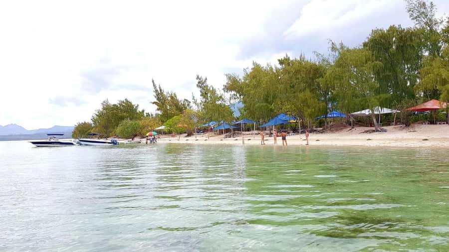 Mauritius: Ocean Swim with Dolphins - My verdict on the dolphin swim