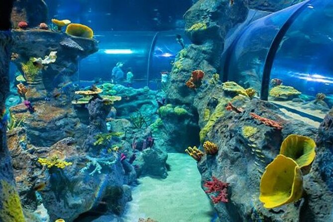 Mauritius Odysseo Oceanarium in Port Louis - How long should you plan for?