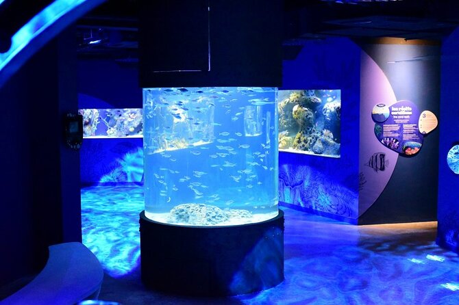 Mauritius Odysseo Oceanarium in Port Louis - The conservation message beyond the fish