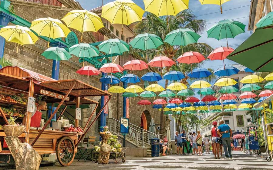 Mauritius: Port Louis and Northern Highlights Full-Day Trip - Key points at a glance