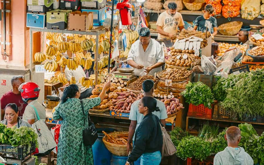 Mauritius: Port Louis and Northern Highlights Full-Day Trip - Why this eight-hour route works