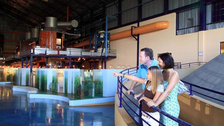 Mauritius: Port Louis and Northern Highlights Full-Day Trip - Pace, comfort and what to bring