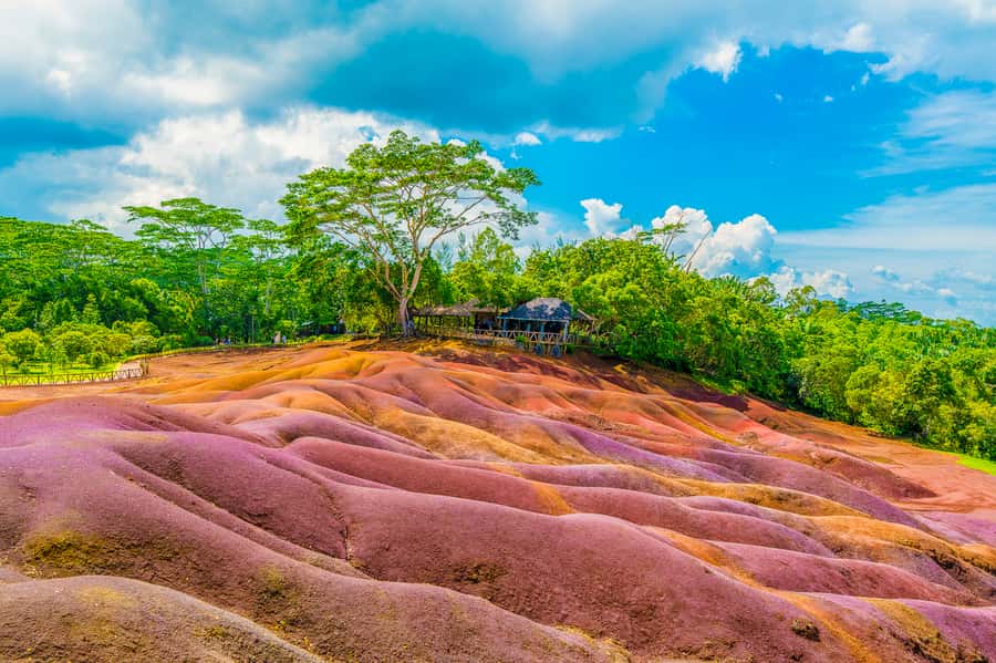 Mauritius: Private Full-Day Iconic Instagram Spots - Pamplemousses Botanical Garden and the Talipot Palm