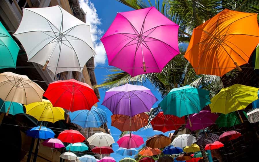 Mauritius: Private Full-Day Iconic Instagram Spots - Guides make the difference