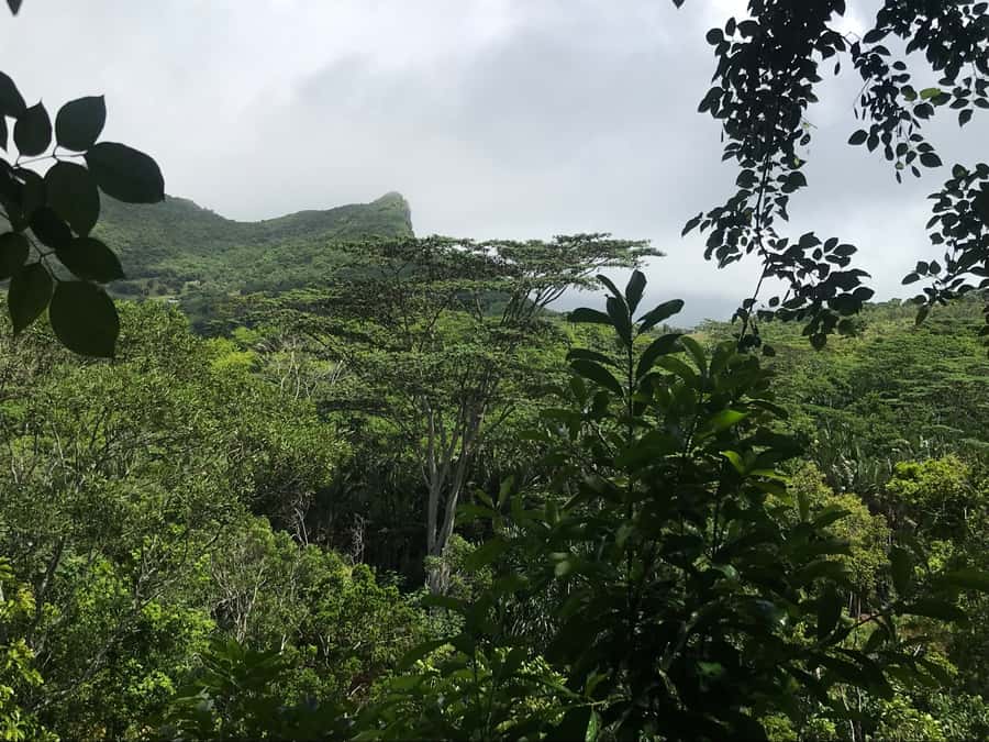 Mauritius: Private Full-Day Iconic Instagram Spots - What the $135 price includes