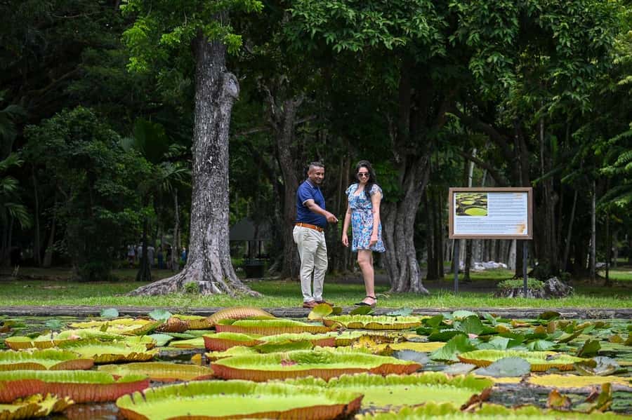 Mauritius: Private Full-Day North Mauritius Tour - Looking over the capital from La Citadelle